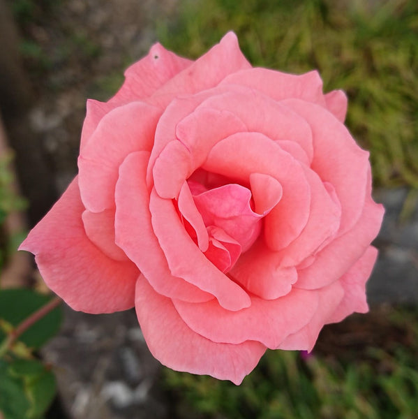 2_1c6367f6-04a6-4761-ac98-