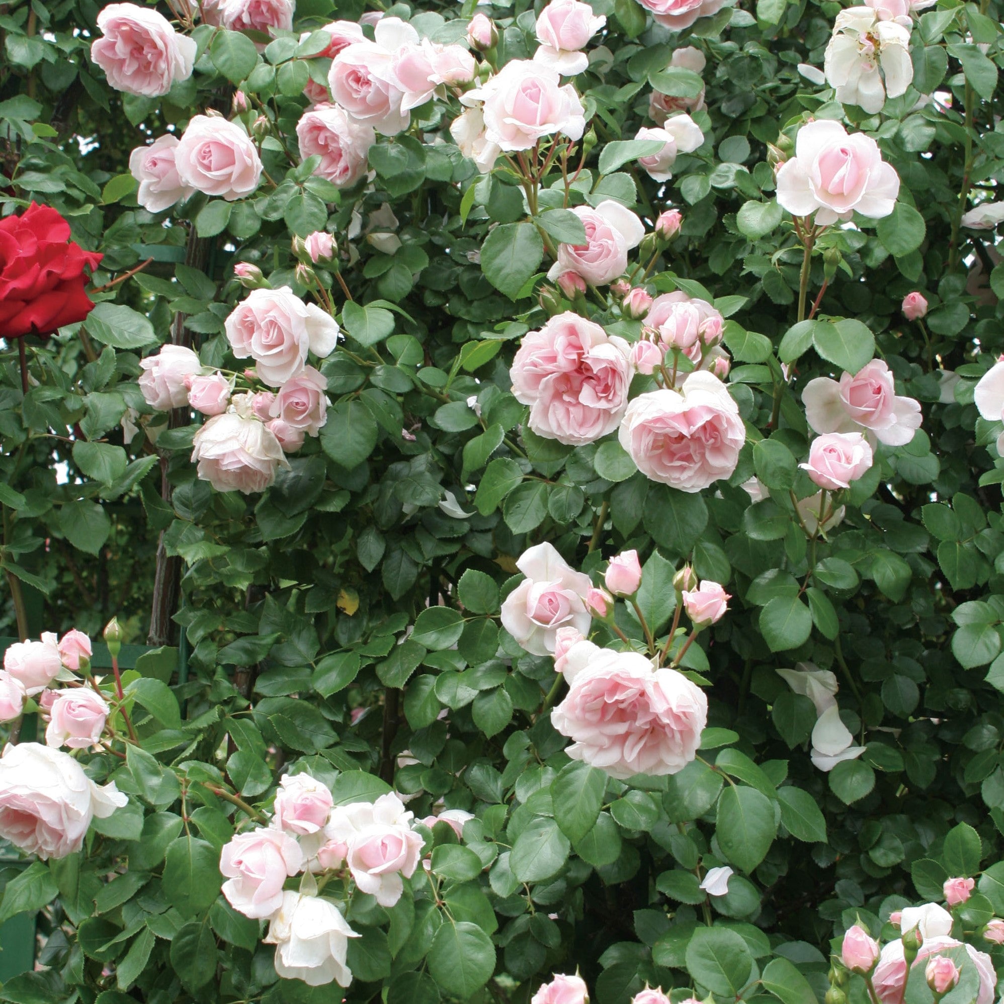 2_2_17315b10-2cec-4549-96fc-